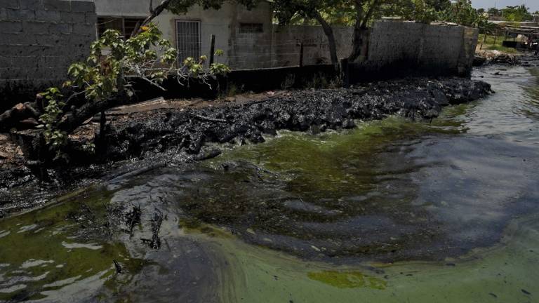 El Lago de Maracaibo, en Venezuela, un "constante derrame de crudo"