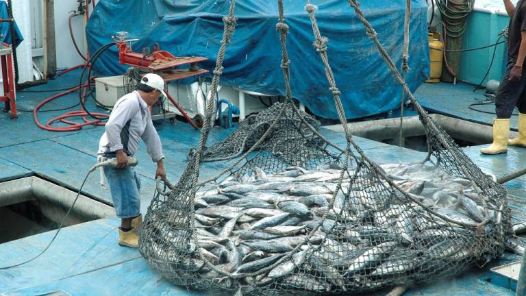 Ecuador impulsa prácticas sostenibles de pesca