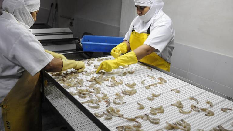 En busca de buena mar para la pesca y acuacultura