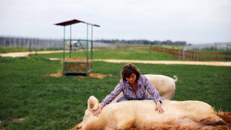 La Granja que cuida de animales que iban a ser sacrificados