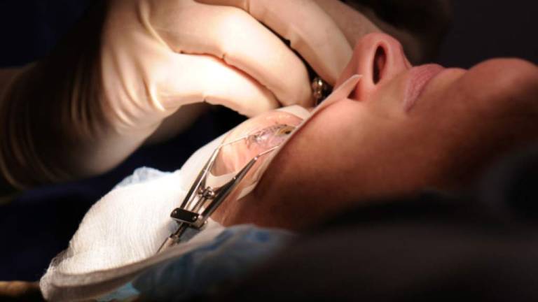 Médicos extraen con albahaca una larva del ojo de un adolescente