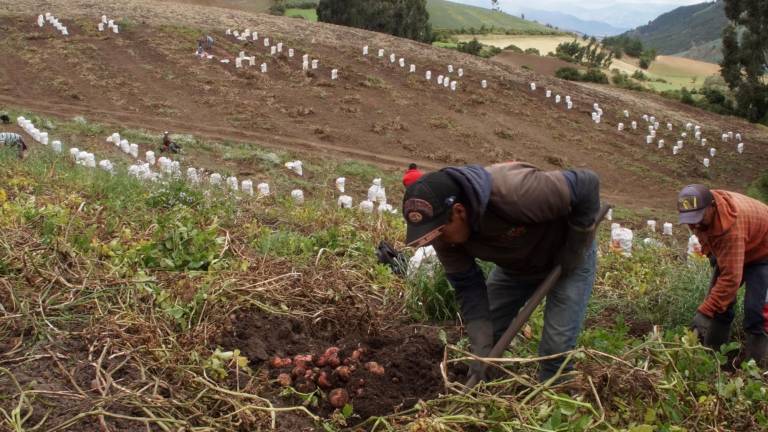 Se busca apoyo financiero para la agricultura familiar campesina del Ecuador