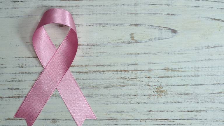 Una nueva molécula puede servir para combatir el cáncer de mama