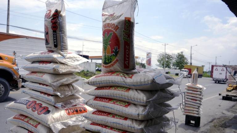 Noboa autoriza al Estado a comprar, almacenar y vender maíz y arroz para intervenir en el mercado: ¿Qué significa?