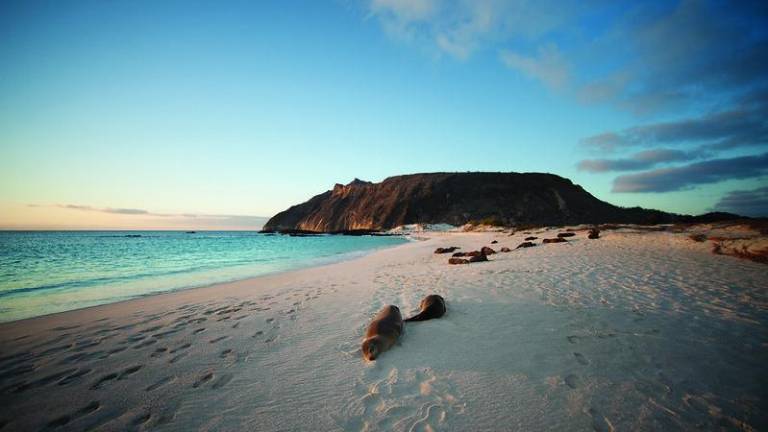 Gobierno Nacional niega haber cedido soberanía de las Islas Galápagos con canje de deuda