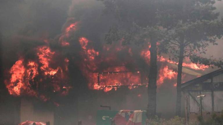 Incendios forestales que devastan la región de Valparaíso, en Chile, dejan 46 fallecidos