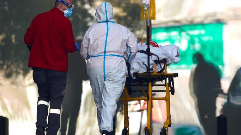 Las bacterias del intestino pueden influir en la gravedad de la covid-19, así como en la respuesta inmune