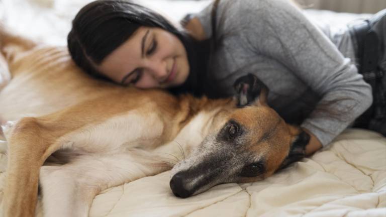 ¿Dormir la siesta con tu mascota? La ciencia dice que es una gran idea