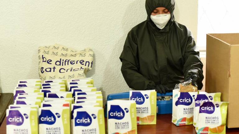 En Ecuador se produce proteína de grillo