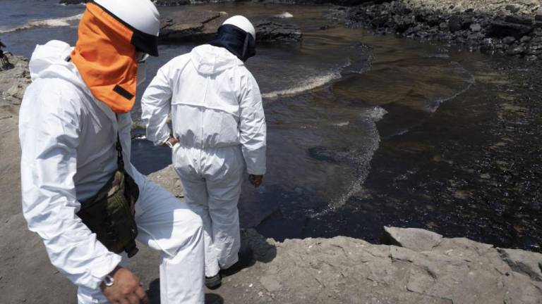 Playas y fauna marina en Perú afectadas por derrame de petróleo