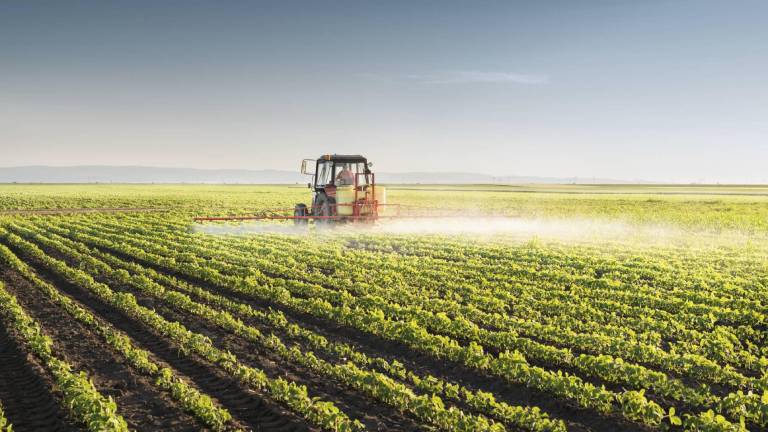 Ecuador se encuentra en un momento clave para avanzar hacia un desarrollo competitivo y sostenible de su agroindustrias. (foto referencial)