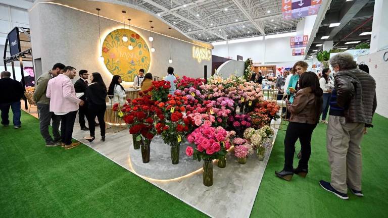 Variedad, exuberancia y belleza: las flores que atrajeron a los visitantes en la feria de Quito