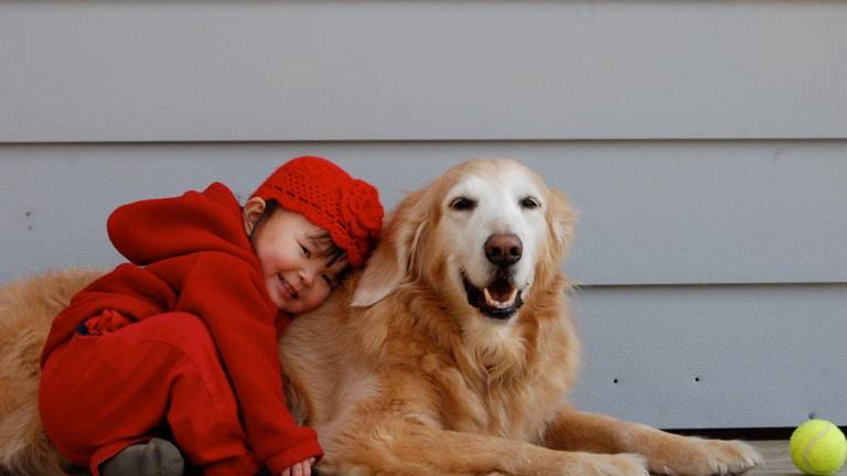 ¿Cuándo es aconsejable que un niño tenga una mascota?