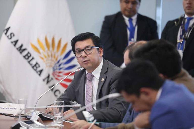 $!Stalin Andino, secretario jurídico de la Presidencia de la República, en su intervención en la Comisión de Desarrollo Económico.
