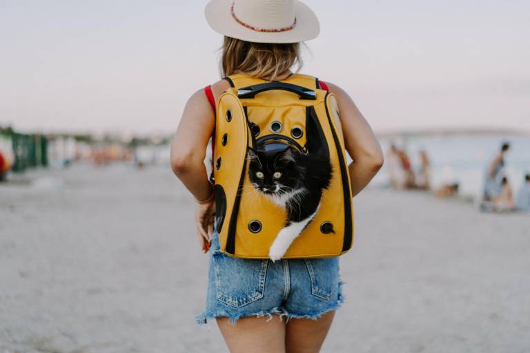 $!Una mujer junto a su gato caminando por la playa.