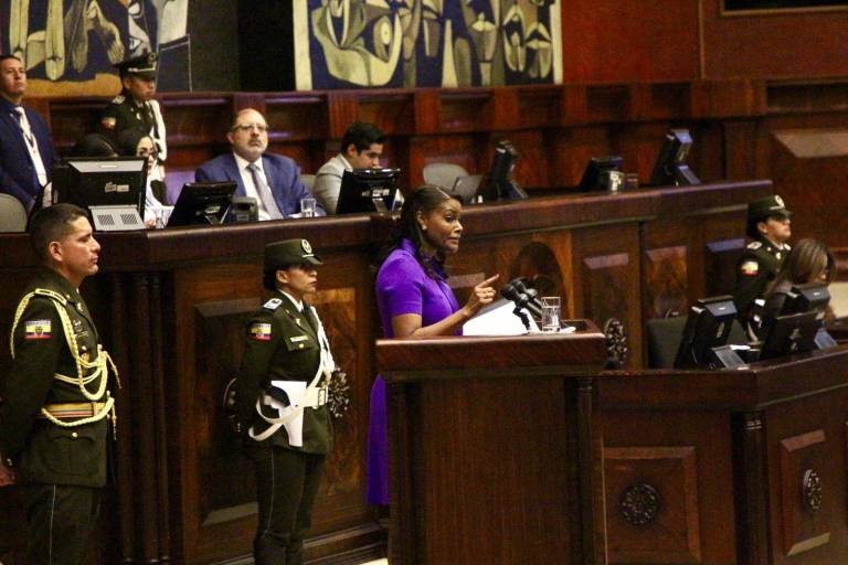 $!La Fiscal Diana Salazar durante su intervención ante el Plena de la Asamblea, este jueves 25 de enero.