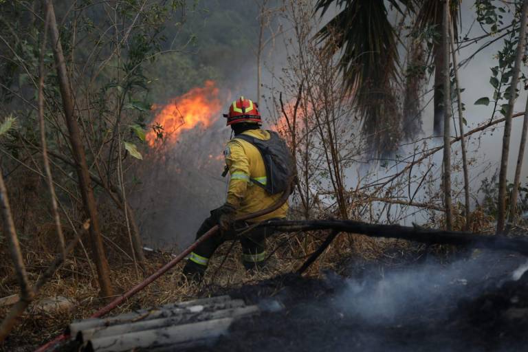 $!Fotografía de un bombero combatiendo llamas en un entorno boscoso de Quito.