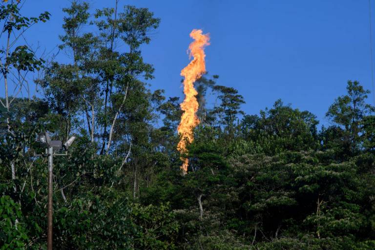 $!YASUNÍ. Uno de los mecheros de los pozos petroleros en la provincia de Orellana, Ecuador, en territorio waorani.