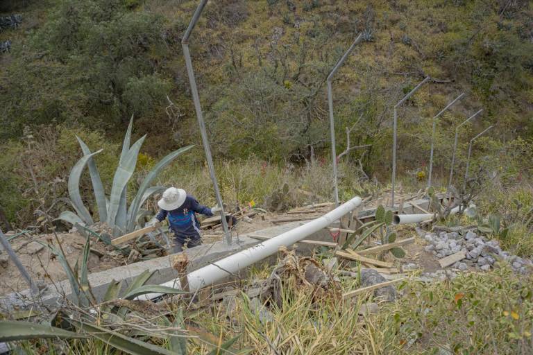 $!Trabajadores construyendo el cercado que delimitará el área de la zona en la que se prevé que las oseznas vivan juntas en el futuro.