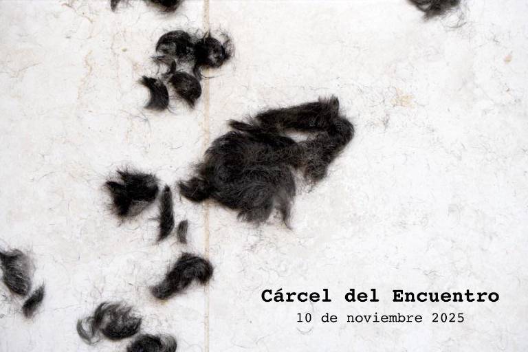 $!Fotografía compartida por el presidente de Ecuador, Daniel Noboa.