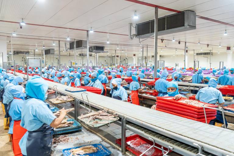 $!Colaboradores de Nirsa en su proceso de trabajo.