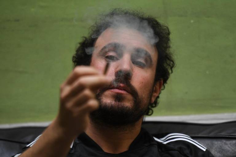 $!Uruguay propone una variedad de marihuana que pegue más para combatir el narcotráfico