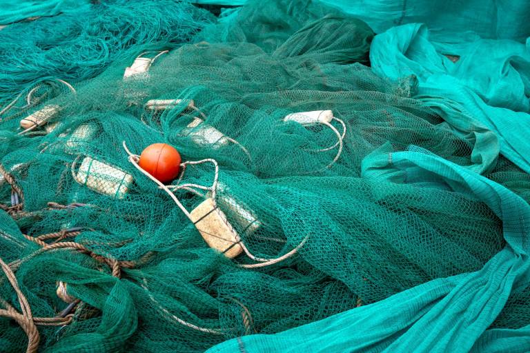 $!Apoyar proyectos de conservación ambiental, como la recuperación de material de pesca abandonado en el océano (redes), es una opción de ayudar.