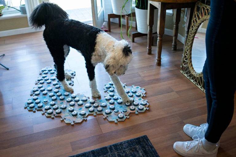 $!Bunny se comunica con un tablero lleno de palabras que suenan al pulsarlas.