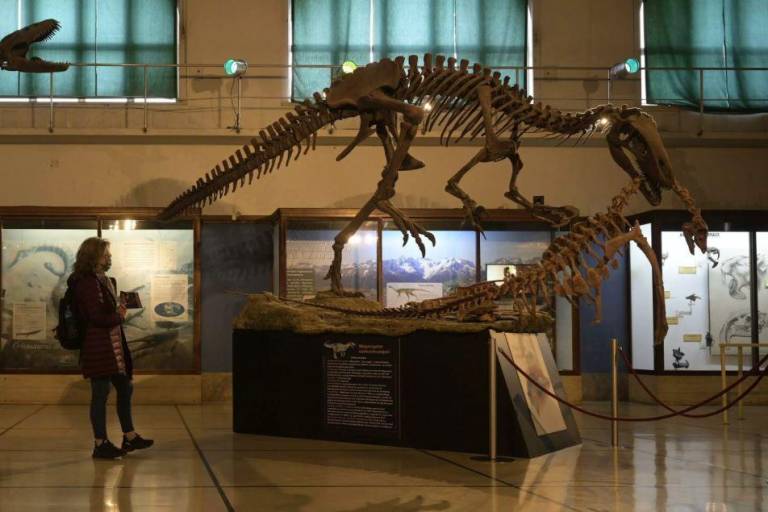 $!Una mujer mira la réplica del esqueleto de un dinosaurio Megaraptor namunhuaiquii, en el Museo Argentino de Historia Natural Bernardino Rivadavia, en Buenos Aires, el 2 de mayo de 2022