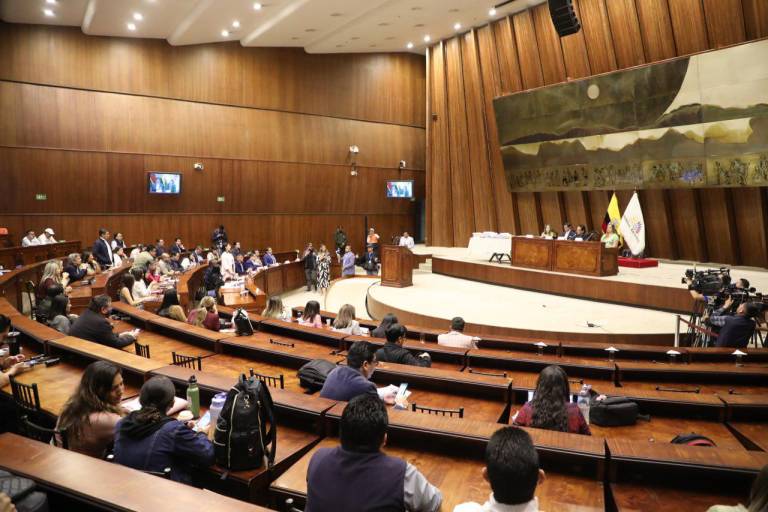 $!Cinco de los nueve integrantes de la Comisión de Fiscalización rechazaron el informe presentado por el presidente de esa instancia, el legislador independiente Fernando Villavicencio.