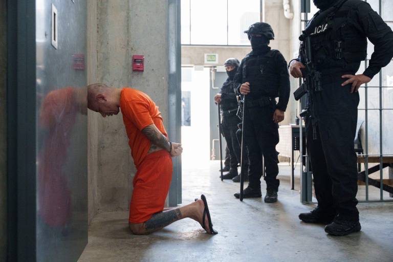 $!Lobo Menor en la Cárcel del Encuentro.