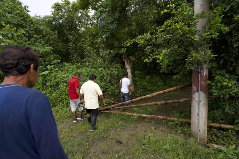 $!Entrada a las plantaciones de Tagua ubicadas en la comunidad costera de Dos Mangas, Ecuador.
