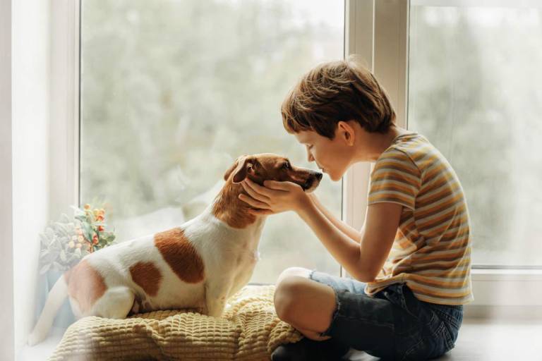 $!¿Cuándo es aconsejable que un niño tenga una mascota?