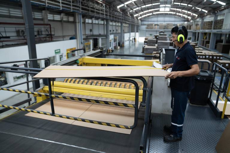 $!Grupasa impulsa la competitividad del banano, camarón y flores con soluciones de empaque innovadoras