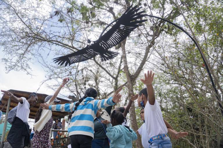 $!Exposición “Cóndor, páramo, agua” en el Zoológico de Quito.