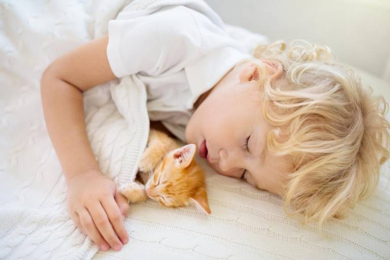 $!¿Por qué dormir con mascotas puede ayudar a mejorar la calidad del sueño?