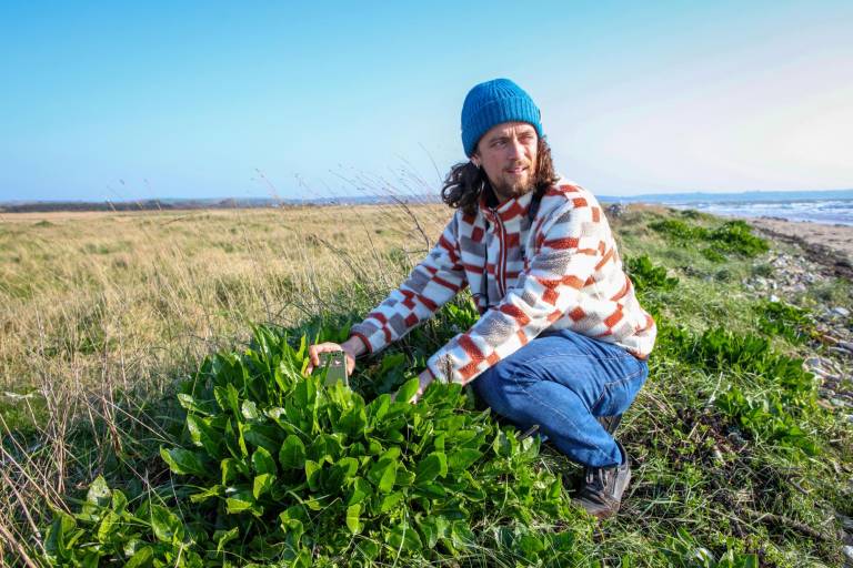 $!El ornitólogo irlandés Sean Ronayne coloca un monitor de grabación entre la vegetación de la playa de Ballycotton.