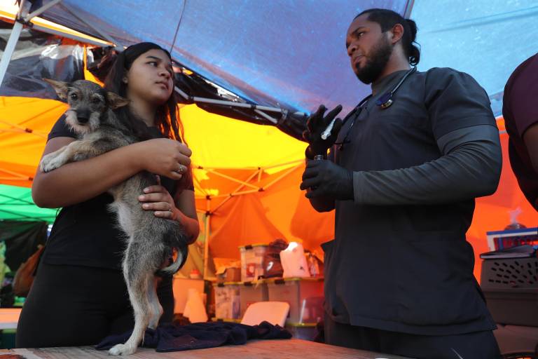 $!Una persona carga un perro en una carpa de atención veterinaria en La Guaira (Venezuela).