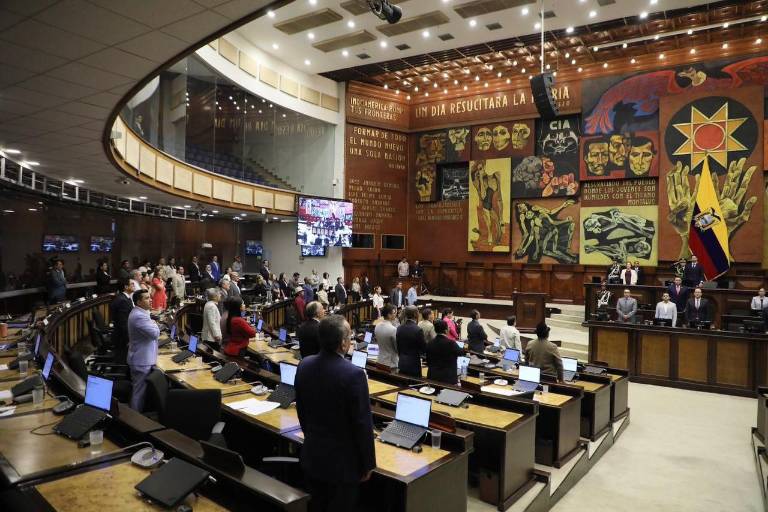 $!Legisladores volvieron a sesionar en Quito, pero Niels Olsen advierte que habrá más viajes.