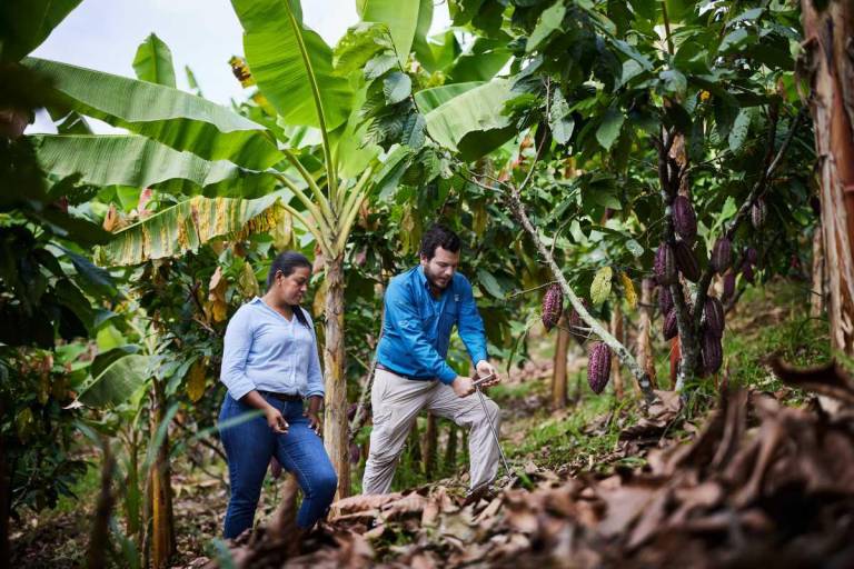 $!Para mejorar el cultivo primero se toman muestras del suelo para analizar que nutrientes se necesitan.