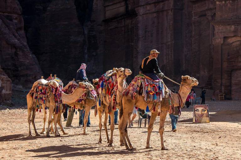 $!La enfermedad es conocida como virus (o gripe) del camello porque se ha determinado que dicho animal genera más transmisión a humanos que otros.