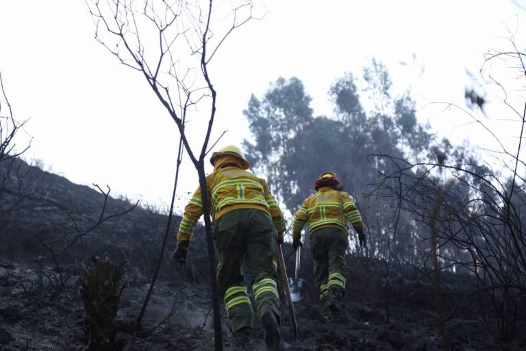 $!Incendio en el cerro Casitagua.