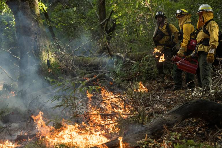 $!Según climatólogos, el 2023 fue el año más caluroso del que se tiene registro. En la imagen, equipos monitorean una quema prescrita en el Parque Estatal Wilder Ranch cerca de Santa Cruz, California, el 13 de octubre de 2023, para reducir la cantidad de combustible que puede alimentar los incendios forestales naturales.
