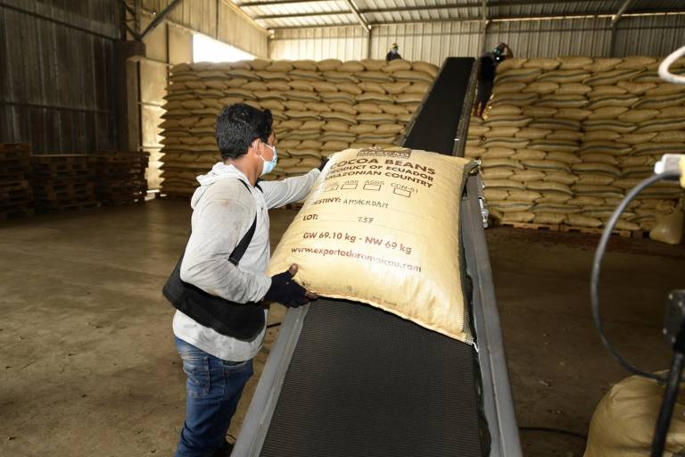 $!La exportadora quevedeña de cacao Ma&amp;Cao tuvo un crecimiento de 110% en sus ingresos en 2020.