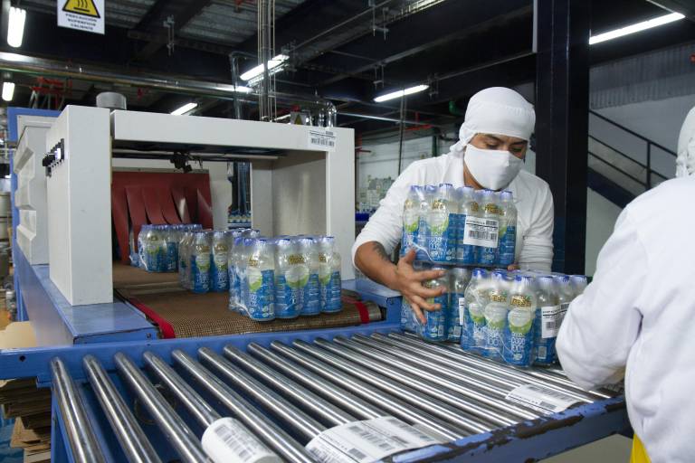 $!Coco Freeze genera 25% de los ingresos de la compañía; para proteger al agricultor, la compañía ha fijado un precio mínimo al que adquiere la materia prima.