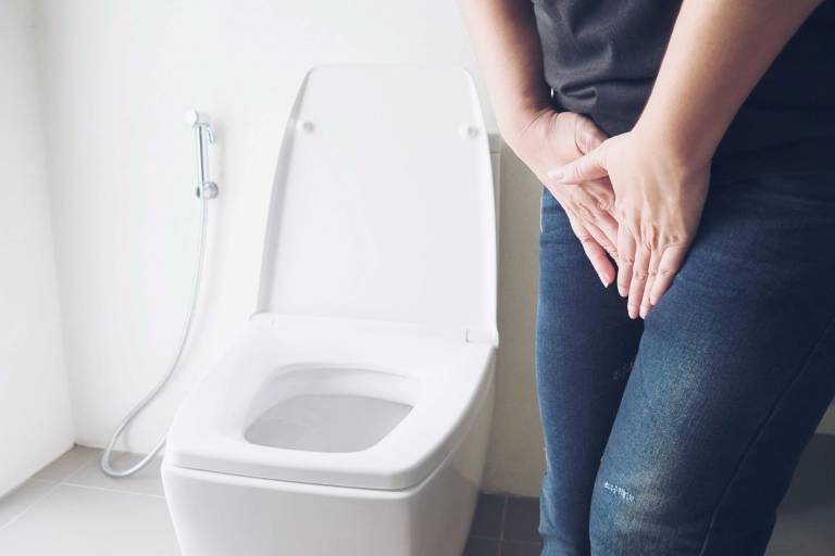 $!Salud femenina: las razones por las que siempre debes sentarte en la taza del baño