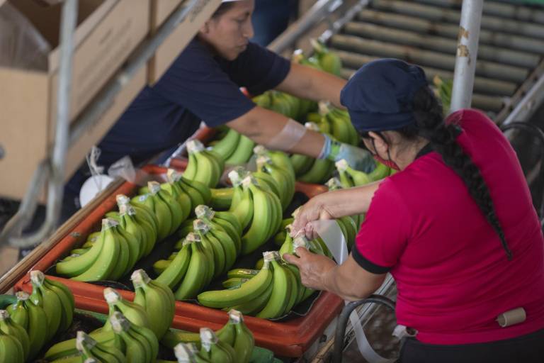 $!El Impulso de acuerdos comerciales y de tratados de libre comercio, especialmente con las economías de mayor crecimiento es un tema importante para el desarrollo del sector.