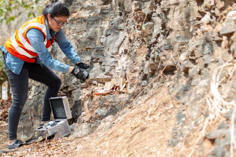 $!Cada vez más mujeres forman parte profesionalmente de este sector. La Espol registra 71 estudiantes mujeres en las carreras de Geología y Minas.
