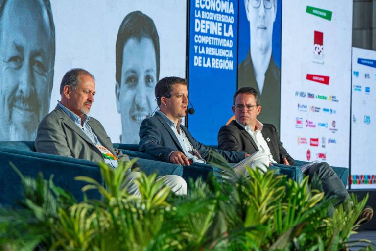 $!Durante el panel se destacaron los avances alcanzados por WWF Ecuador en temas de financiamiento ambiental.