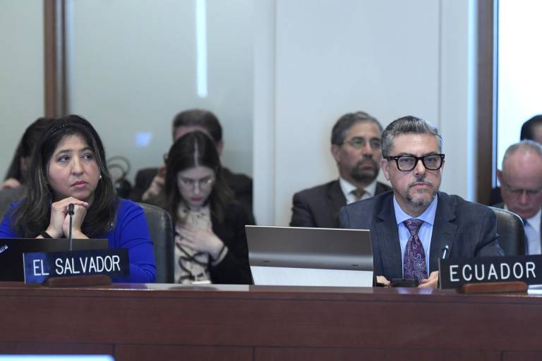 $!El viceministro de Movilidad Humana de Ecuador, Alejandro Dávalos, y la representante de El Salvador ante la Organización de los Estados Americanos (OEA), Wendy Acevedo. Ambos países fueron los únicos presentes en la votación para la resolución de condena contra Ecuador que no deliberaron a favor.